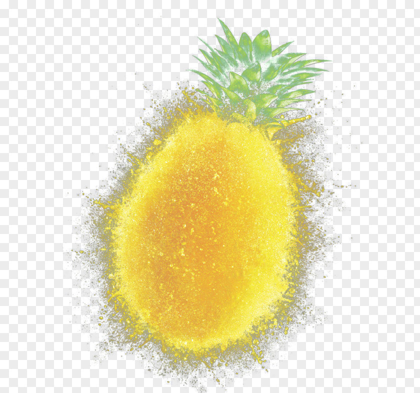 Yellow Pineapple Citric Acid Citrus PNG