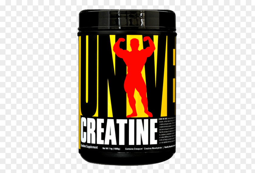 Dietary Supplement Creatine Nutrition Vitamin E PNG