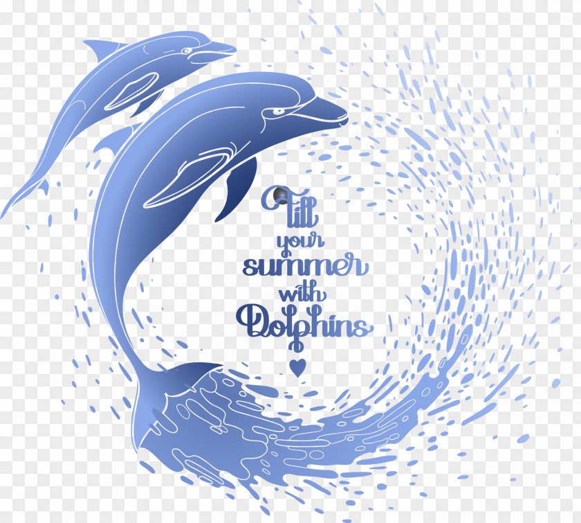 Dolphin Paddle Euclidean Vector Illustration PNG