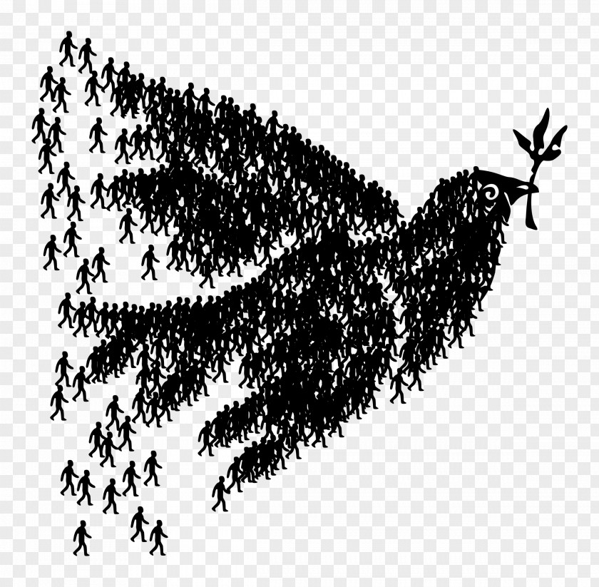 DOVES Columbidae Doves As Symbols Peace Clip Art PNG