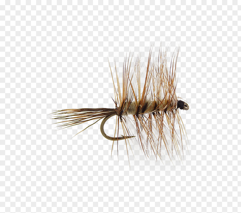 Dry Flies Insect Artificial Fly PNG