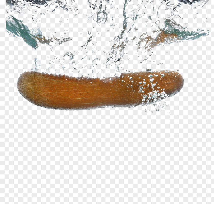 Gradually Sinking Into The Water Zucchini Shuili Icon PNG