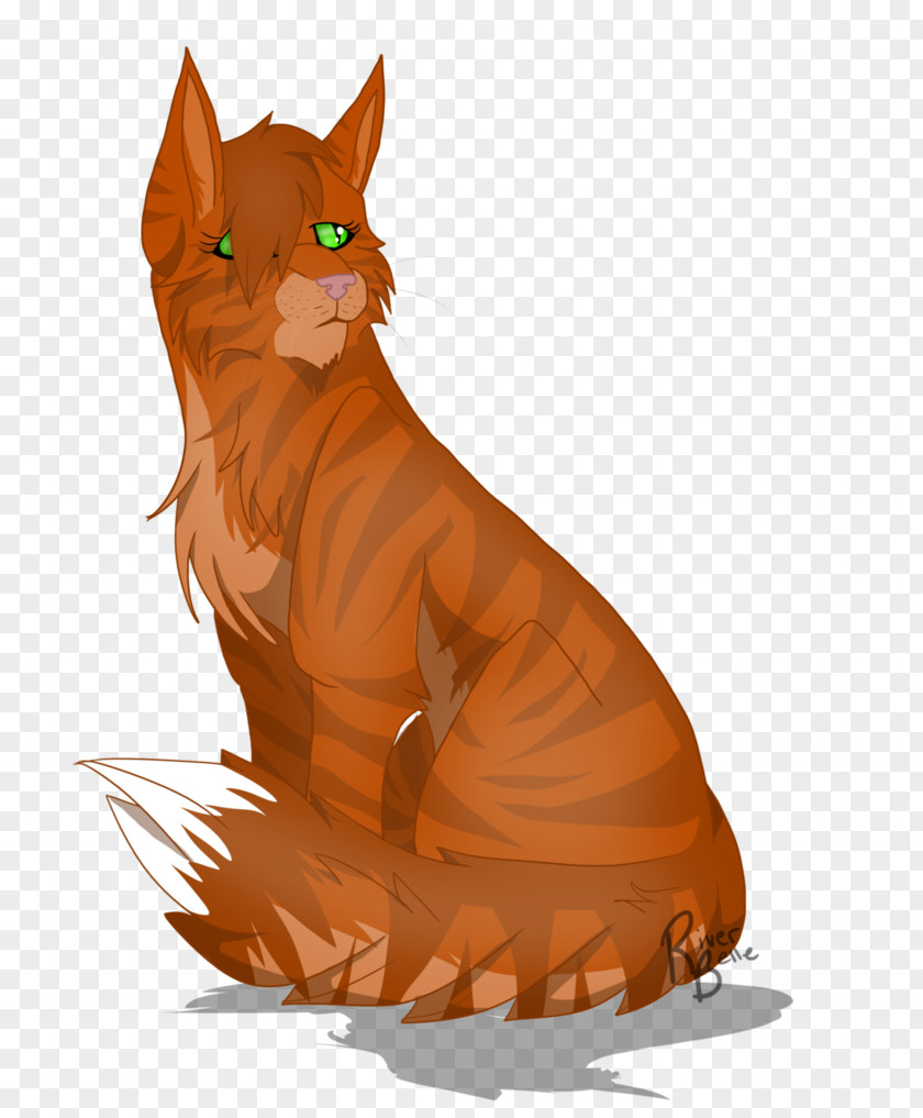 Kitten Whiskers Tabby Cat Canidae PNG