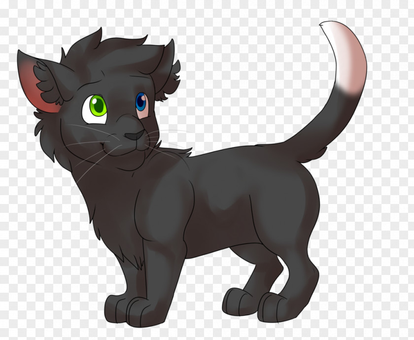 Neko Atsume Korat Black Cat Kitten Whiskers Domestic Short-haired PNG