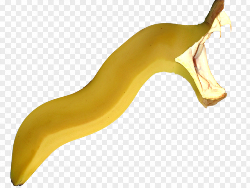 Not Sure Banana Neck PNG