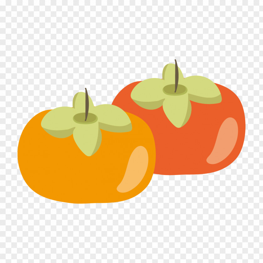 Autumn Japanese Persimmon Fruit Illustrator Clip Art PNG