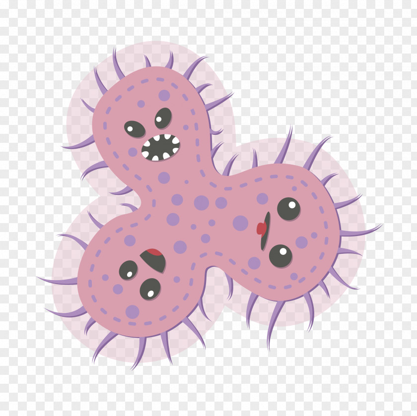 Bacteri Hilo Bacteria Germ Theory Of Disease Cell Organism PNG