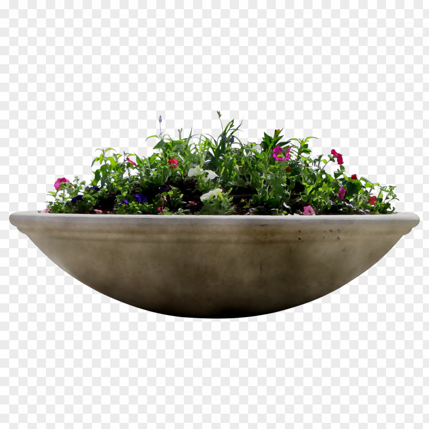 Bowl Herb PNG