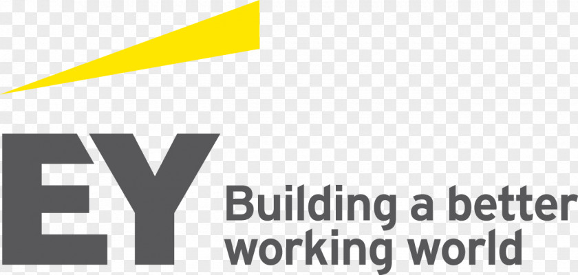Business Ernst & Young Assurance Services Tax Deloitte PNG
