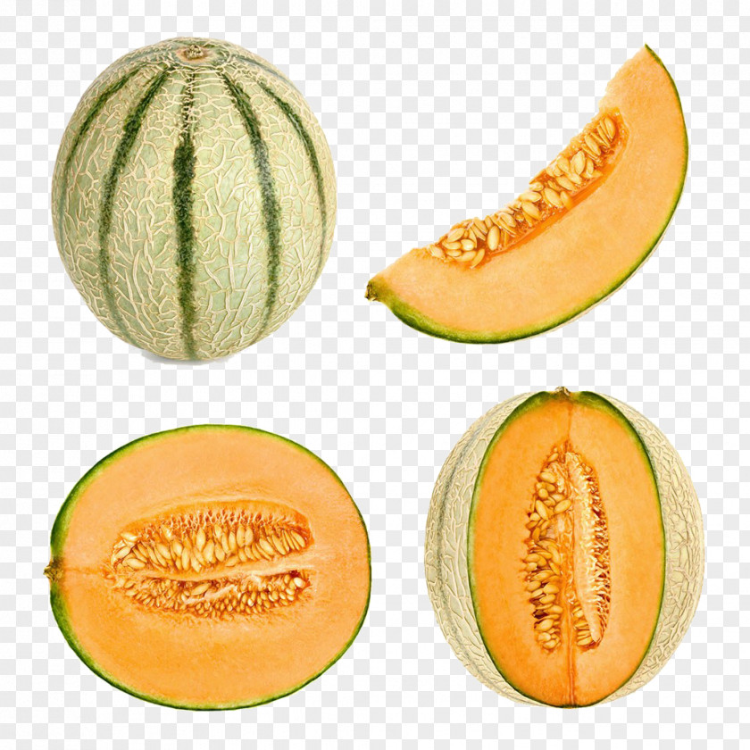 Melon Photography Cantaloupe Honeydew Frutti Di Bosco Stock PNG