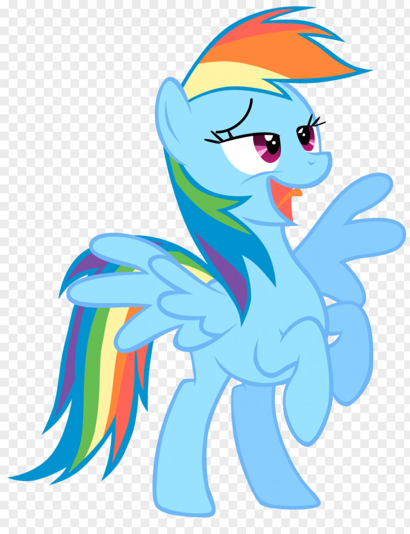 Rainbow Pony Dash Pinkie Pie Rarity Twilight Sparkle PNG