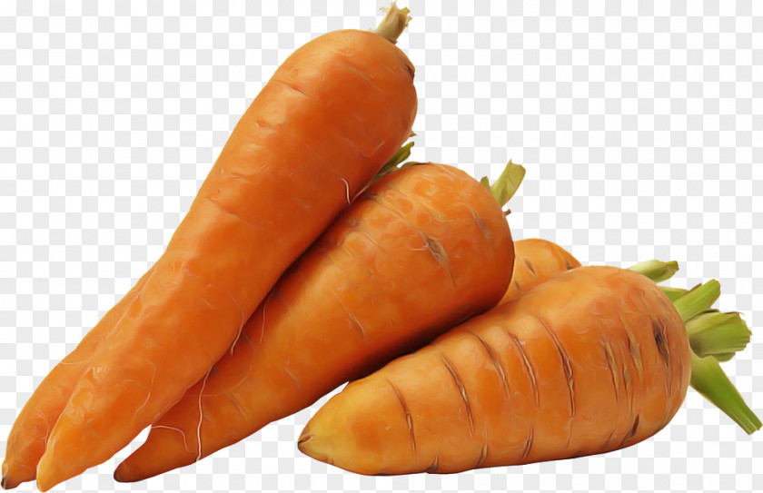 Baby Carrot Plant Food Root Vegetable Natural Foods PNG