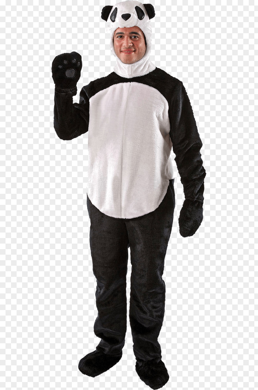 Bear Giant Panda Costume Disguise Suit PNG