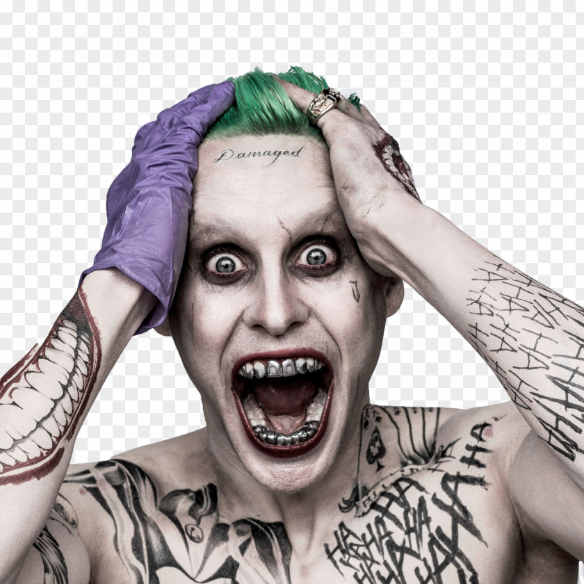 Joker Margot Robbie Suicide Squad Harley Quinn Batman PNG