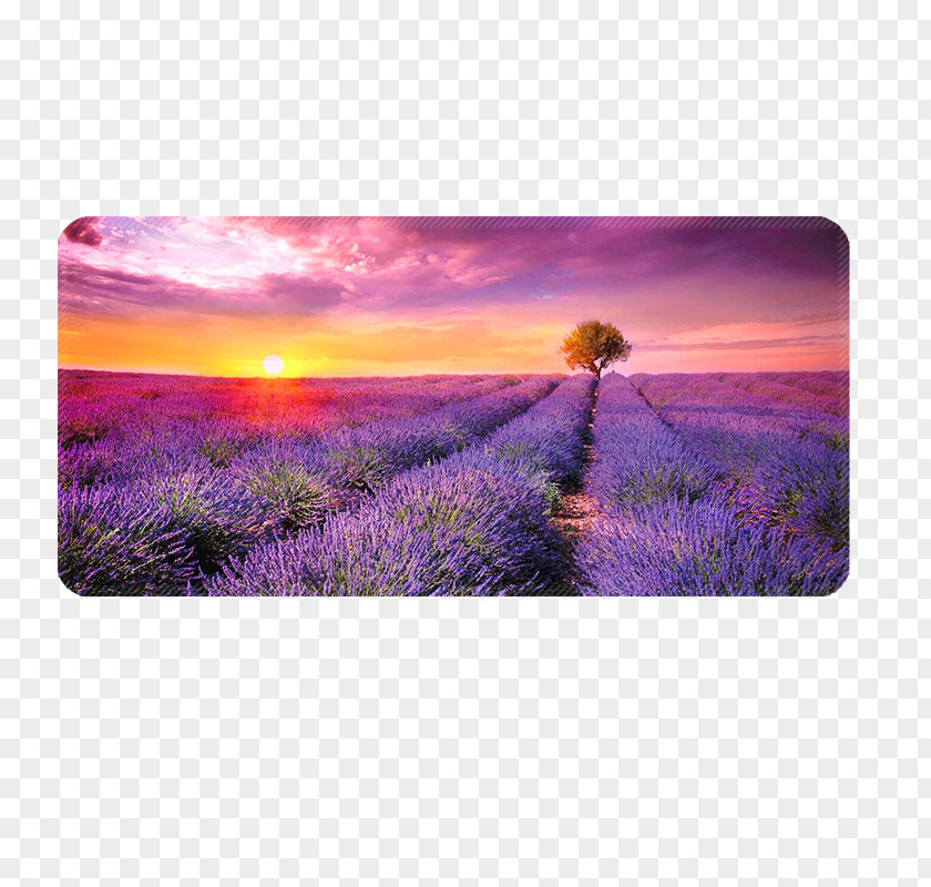 Scenery Table Mat Material Computer Mouse Laptop Keyboard MacBook Pro PNG