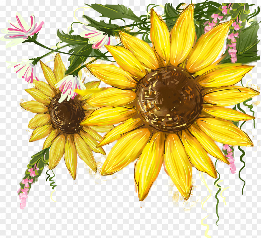 Sunflower Mural Common PNG