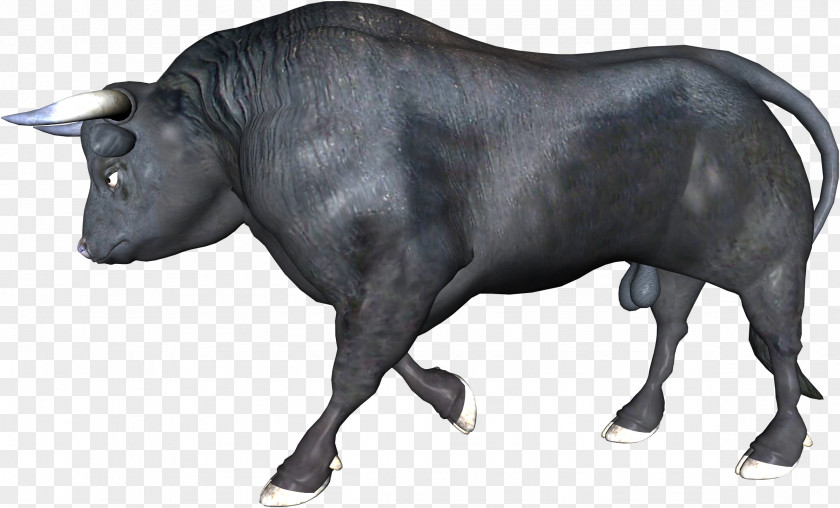 Bull Zebu Ox Water Buffalo PNG