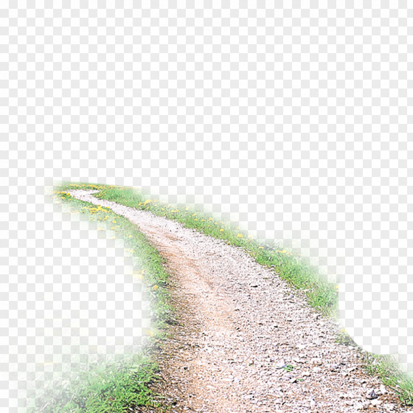 Country Road Take Me Home, Roads Download PNG
