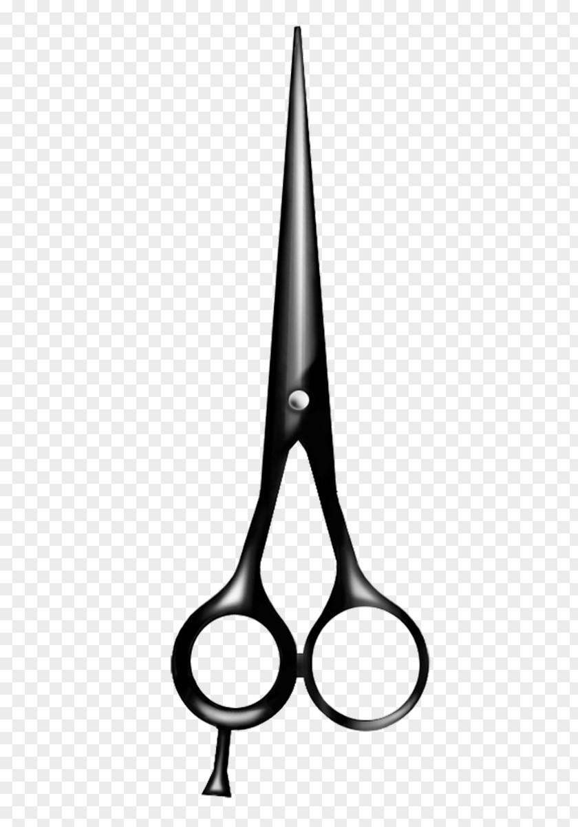 Hairdresser Comb Scissors Hair-cutting Shears PNG