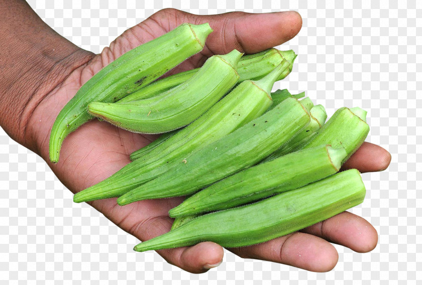 Hand With Okra Vegetarian Cuisine Food PNG