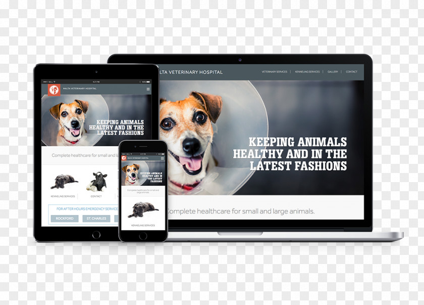Malta Veterinary Hospital Balcom-Vetillo Design, Inc. Dog Breed PNG