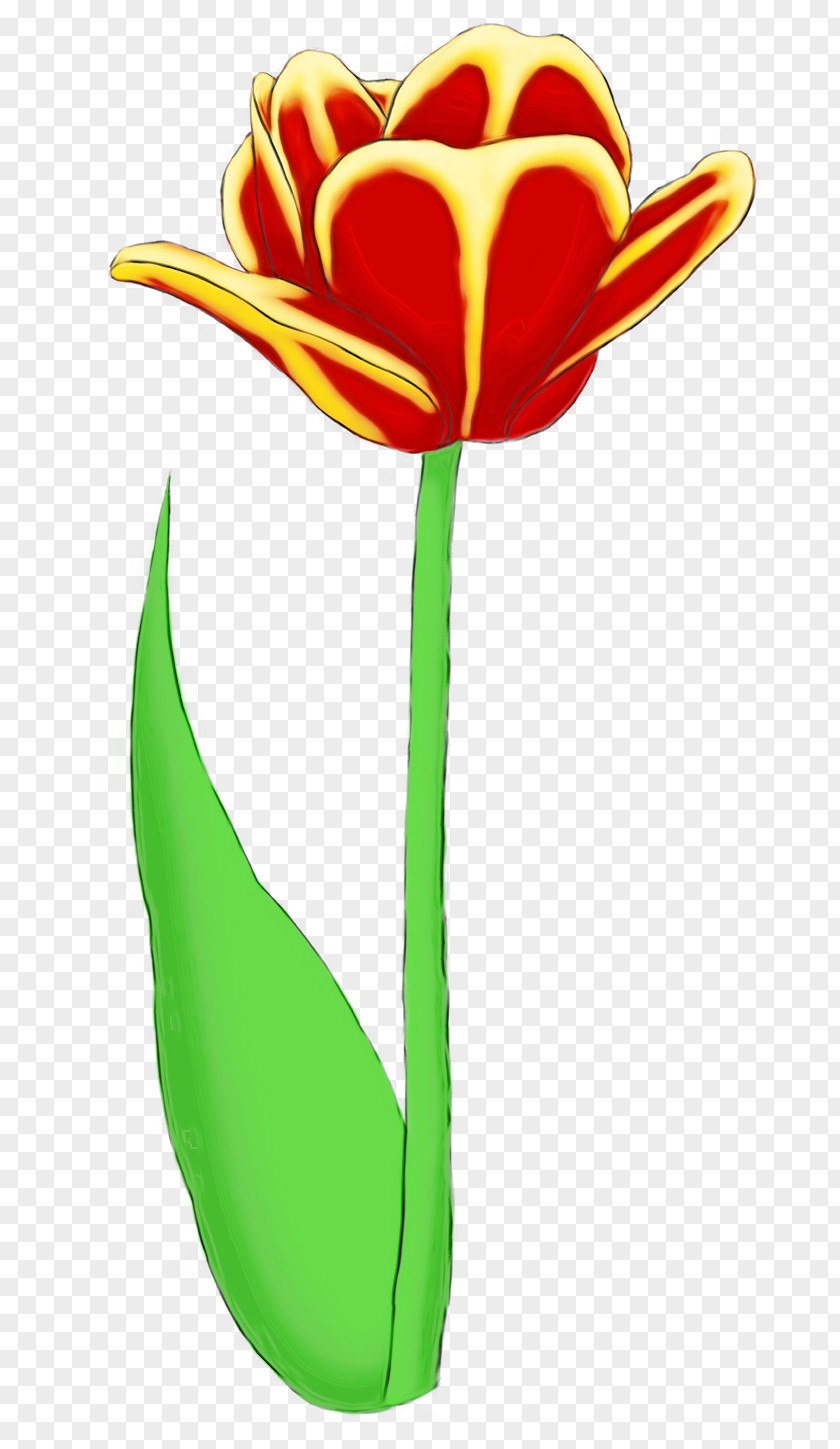 Pedicel Cut Flowers Clip Art Flower Tulip Plant Stem PNG