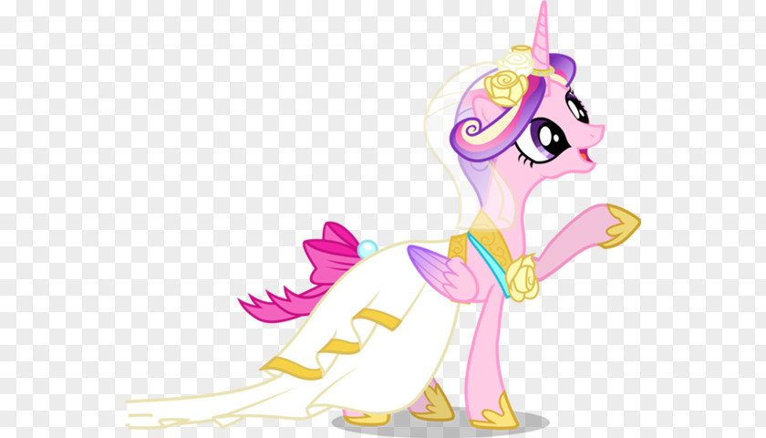 Princess Cadance Twilight Sparkle Rarity My Little Pony: Friendship Is Magic PNG