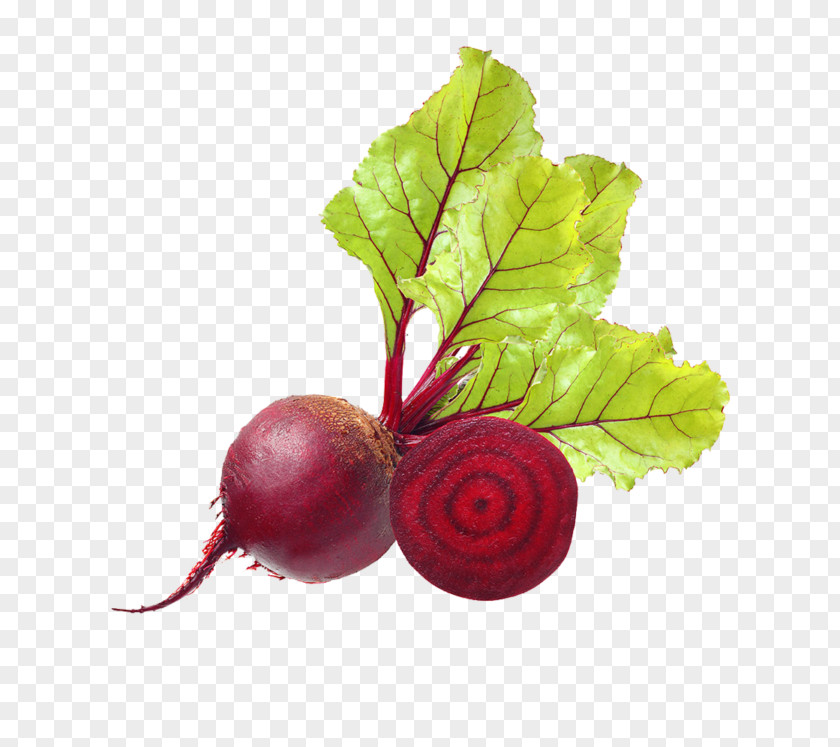 Vegetable Beetroot Common Beet Food Produce PNG