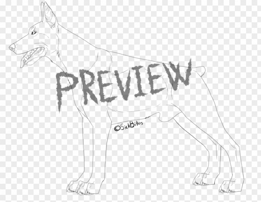 Dog Breed Line Art Snout Sketch PNG