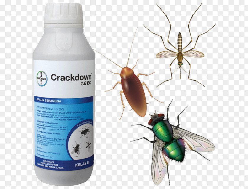 Crackdown Insecticide Pest Mosquito PNG