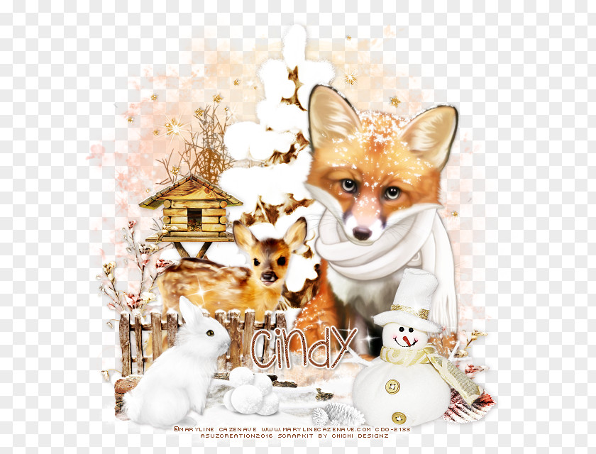 Dog Red Fox Breed News PNG