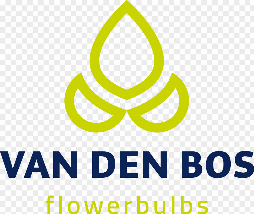 Freesia Florist Holland B.V. Van Den Bos Flowerbulbs Organization Horticulture Business PNG