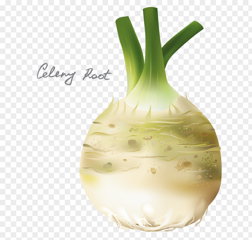 Garlic Vegetable Bread Condiment PNG