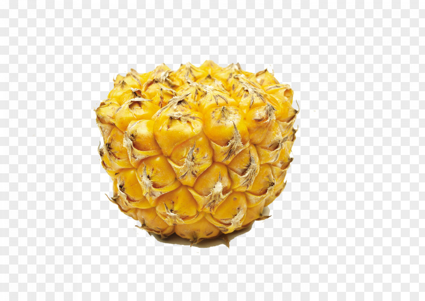 Half Pineapple Advertising Plastic Wrap The Glad Products Company DDB Worldwide Clorox PNG
