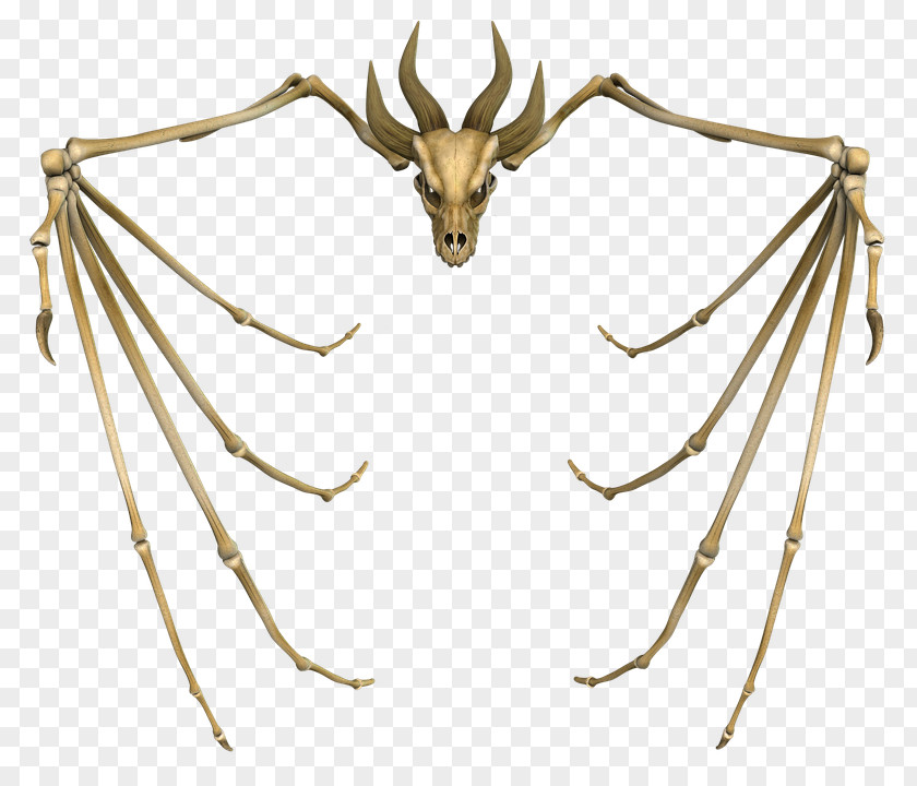 Skeleton Clip Art Human Dragon Skull PNG