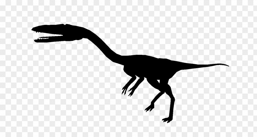 Silhouette Velociraptor Black White PNG