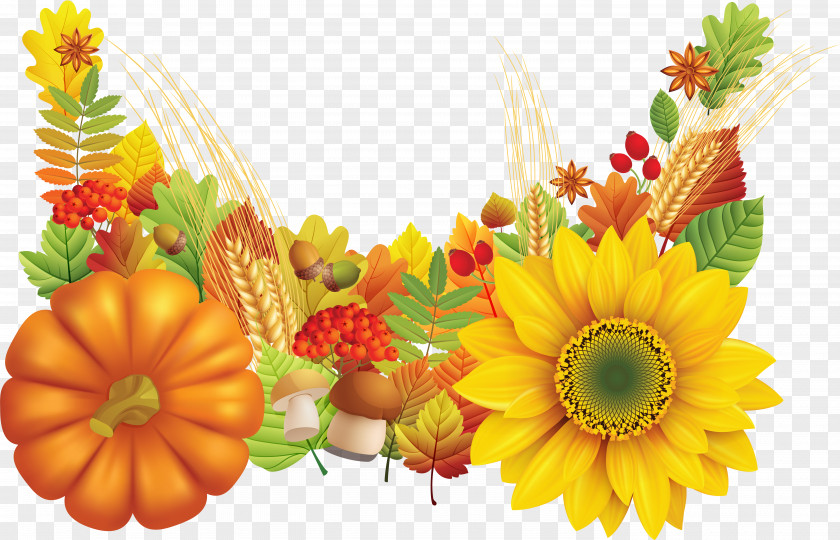 Sunflower Oil Thanksgiving Greeting & Note Cards Wish Blessing PNG