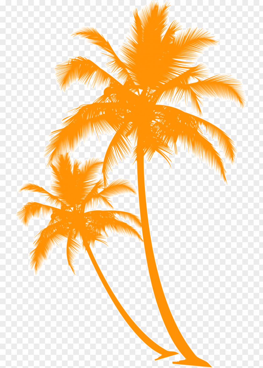 Arecales Woody Plant Palm Tree Silhouette PNG