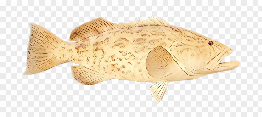 Flounder Sole Fish PNG