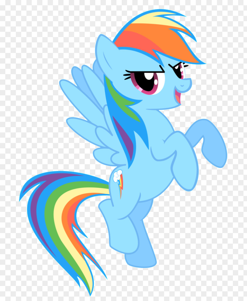 Friendship Cartoon Images Rainbow Dash Pinkie Pie Twilight Sparkle Applejack Rarity PNG