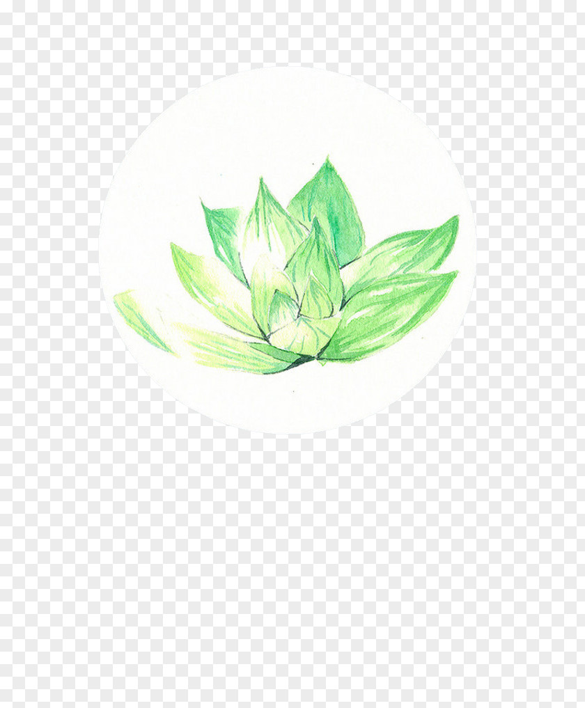 Green Lotus PNG