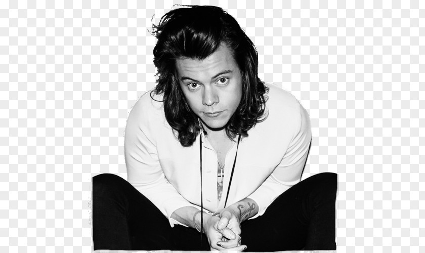 One Direction Harry Styles Made In The A.M. Four PNG