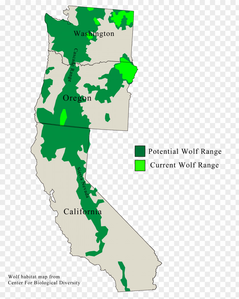 Oregon Coast Range British Columbia Wolf U.S. Route 101 In Territory PNG