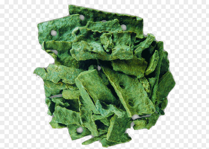 Propolis Spring Greens Collard Spinach Kale Rapini PNG