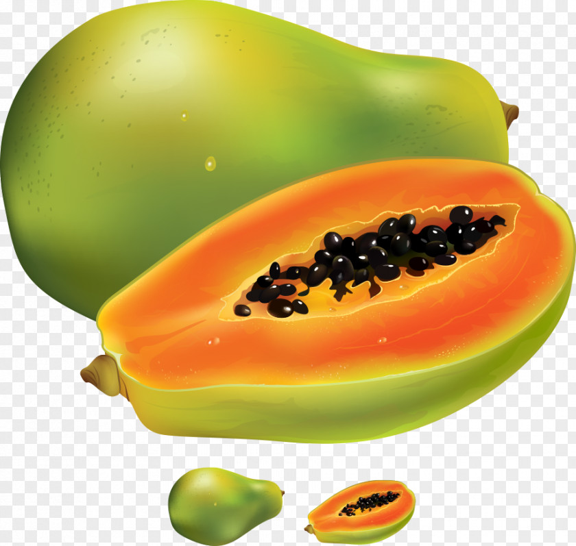 Vector Avocado Papaya Fruit Food PNG
