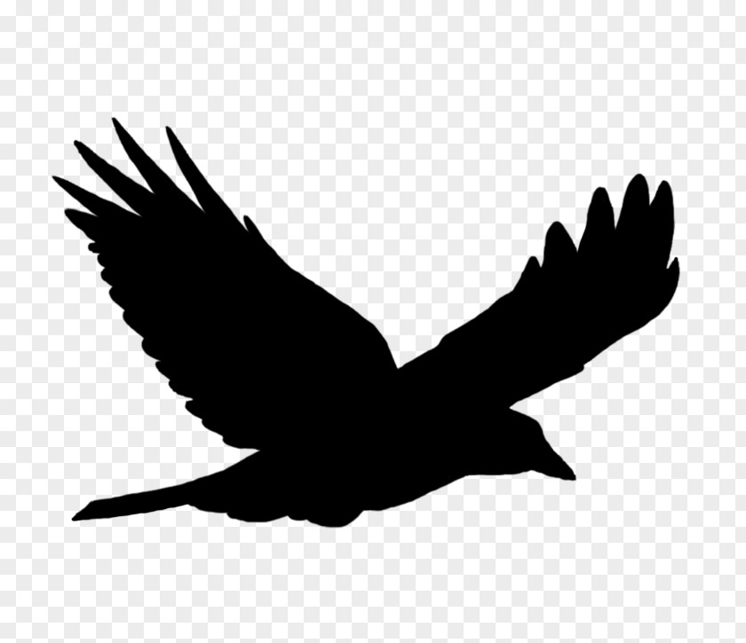 Bird Flight Silhouette Clip Art PNG