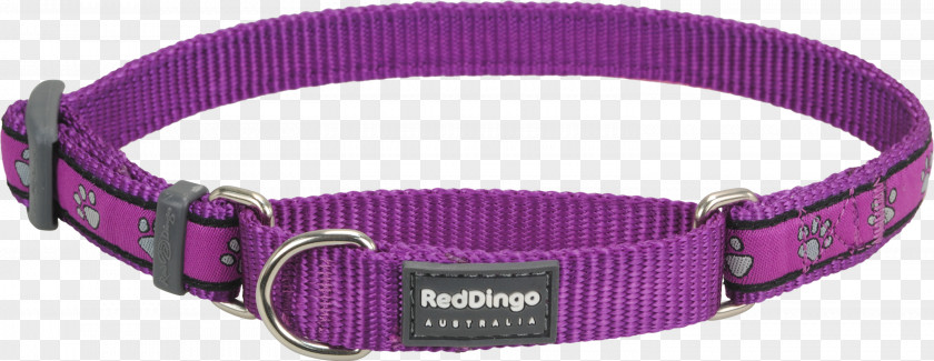 Dog Collars Collar Dingo Martingale PNG