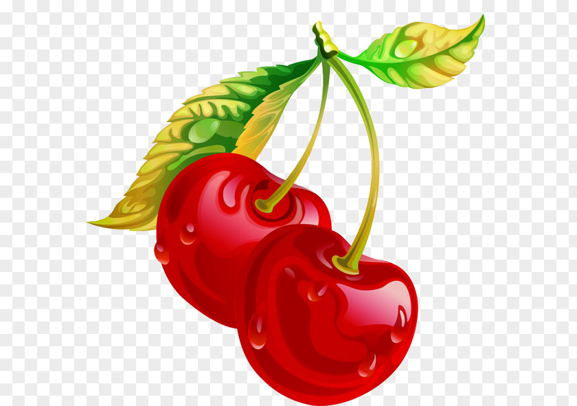 Sweet Cherries Child Vegetable Cherry Fruit PNG