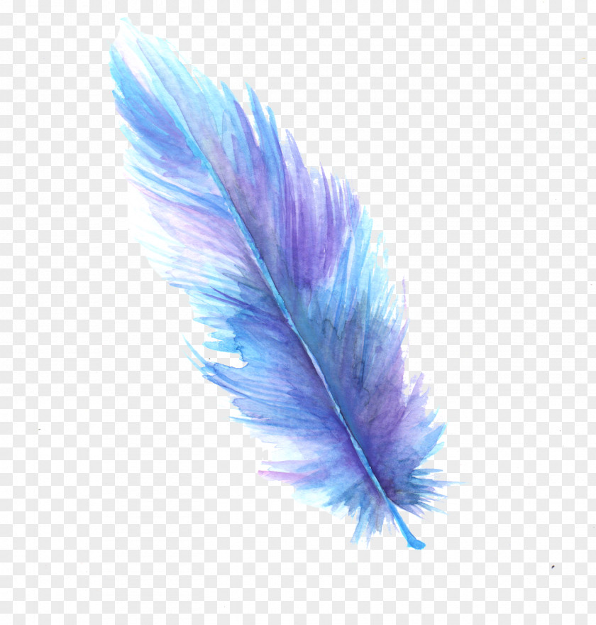 Feather Digital Art Watercolor Painting PNG