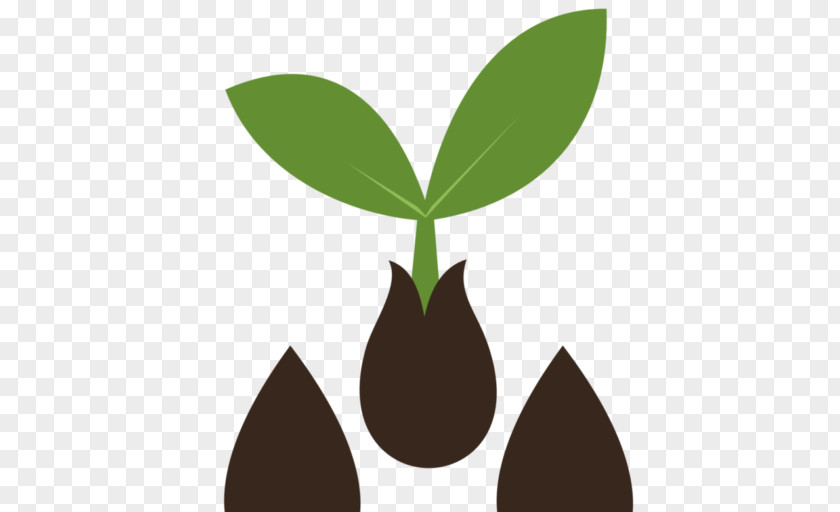 Heirloom Plant Seed Sprouting Sowing Home Shop 18 PNG